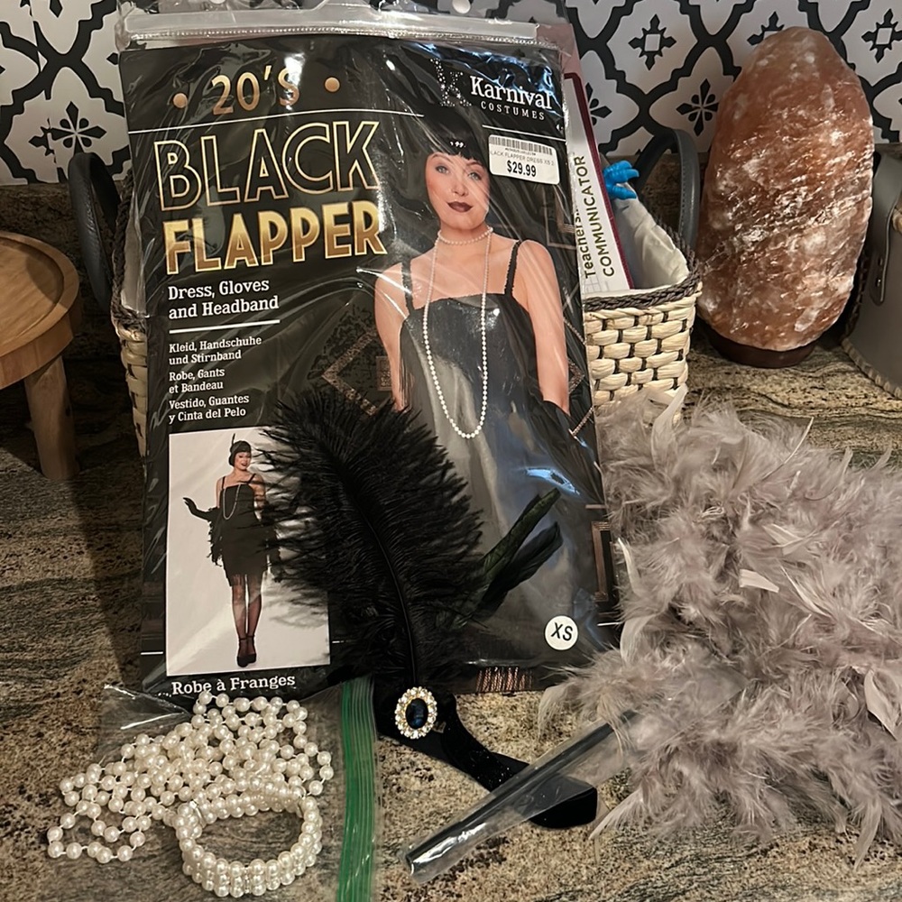 Flapper girl costume plus extra accessories